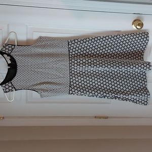 Ann Taylor Loft Dress